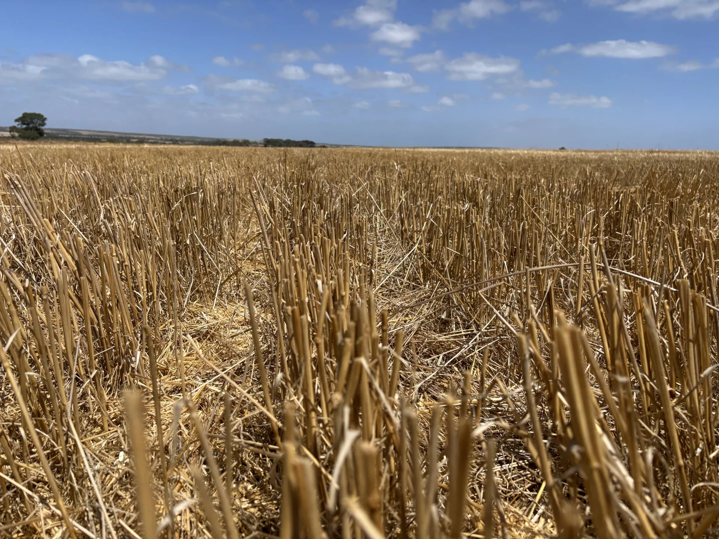 Additional image 8 of 205 Settlers Road, Wangary SA 5607