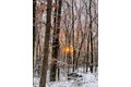 Additional image 12 of 20 Maple Hill Rdg, Red Hook, NY, 12571