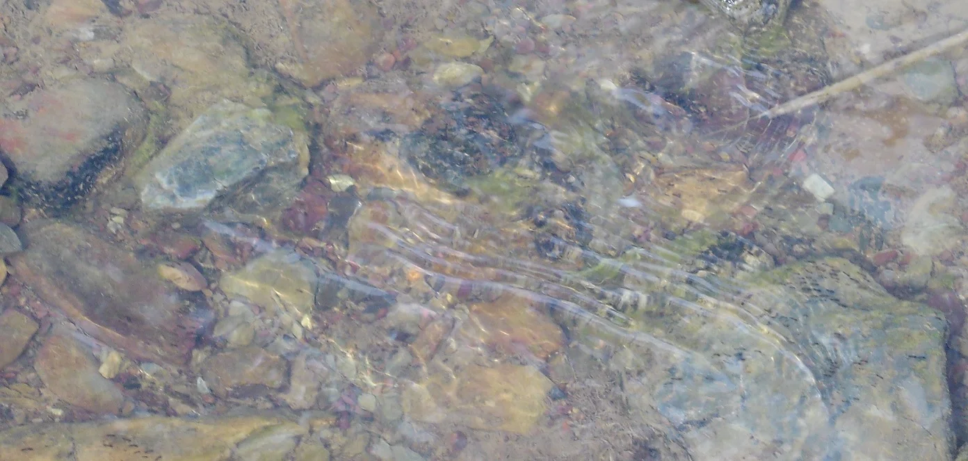 Additional image 9 of Lot 161 Eldridges Lane, Taylors Flat NSW 2586