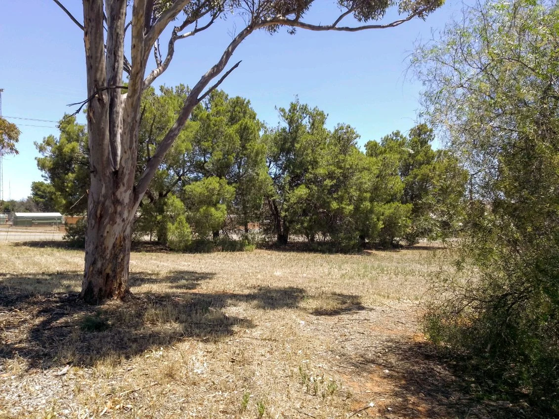 Additional image 4 of 22 Barr Street, Redhill SA 5521