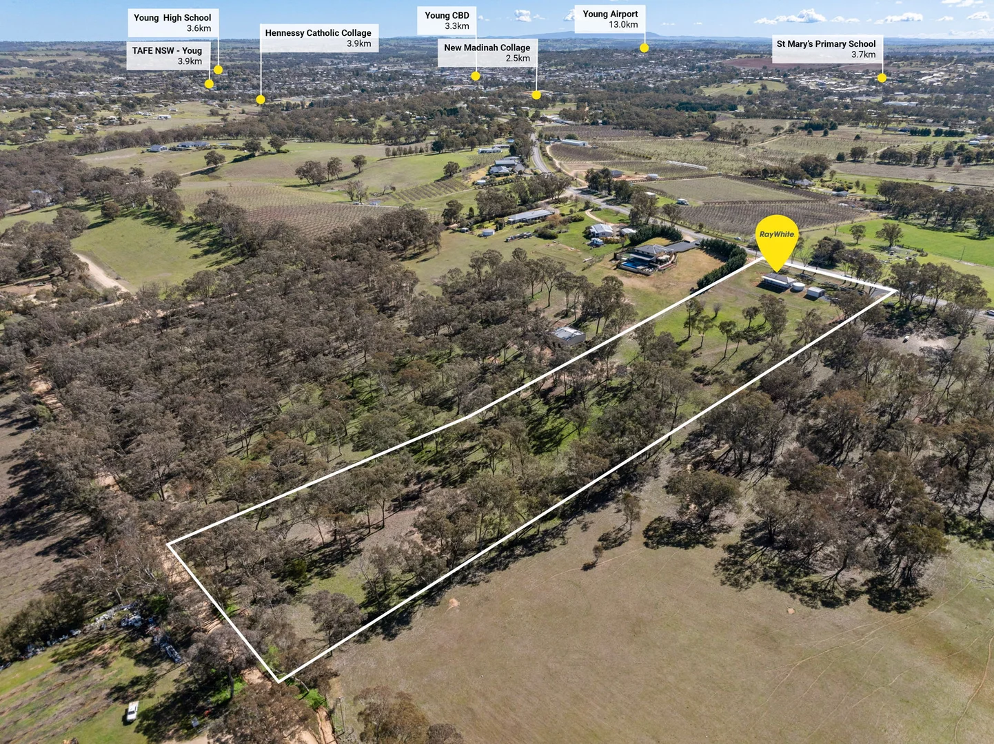 Additional image 16 of 3435 Moppity Road, Young NSW 2594