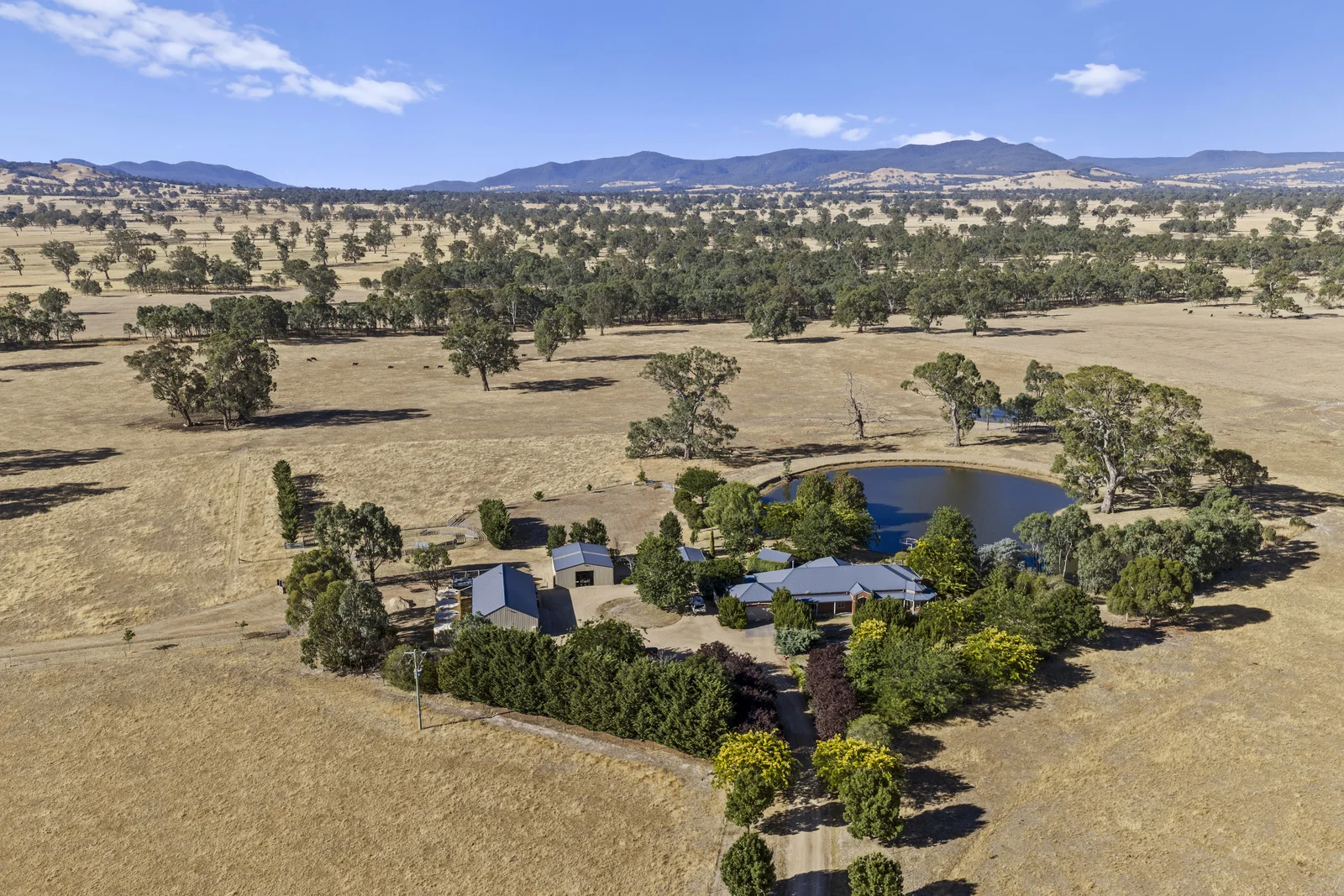 Additional image 9 of 2647 Maroondah Highway, Maindample VIC 3723