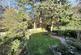 Additional image 2 of Wimborne
