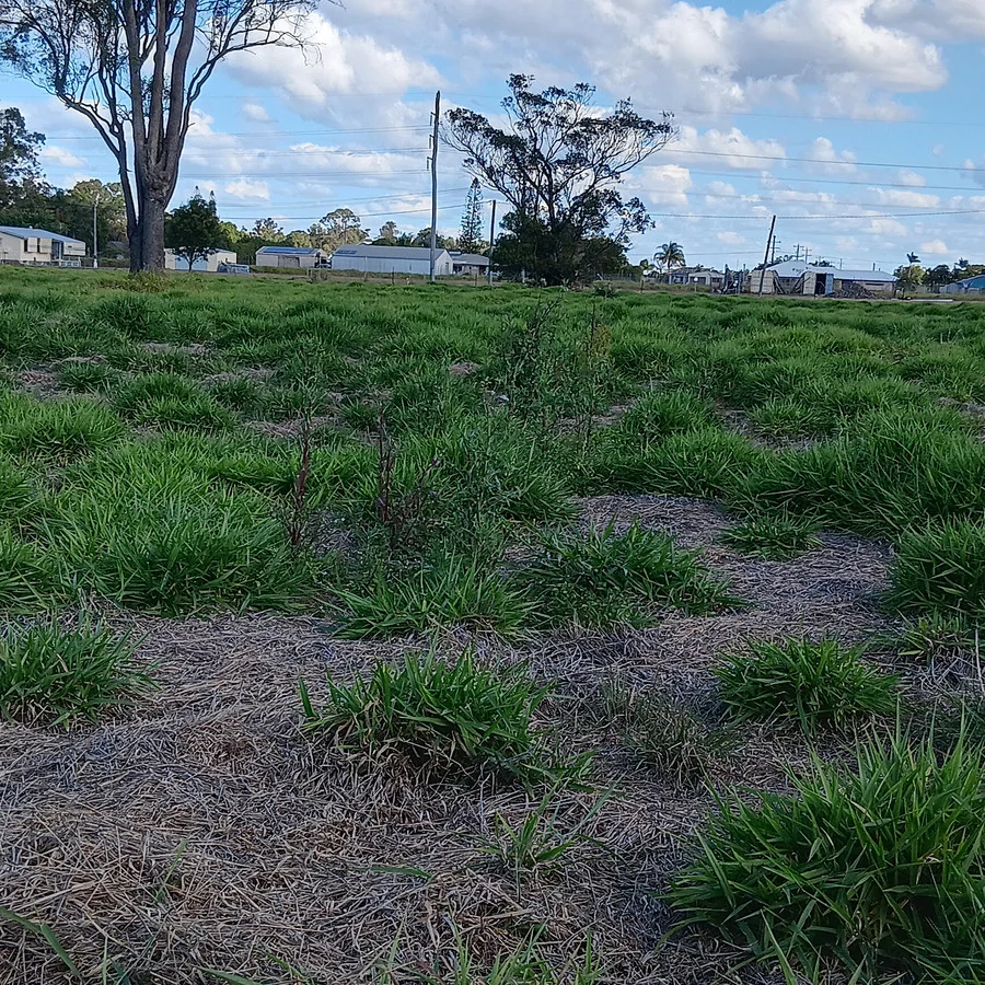 Additional image 5 of 1/133 Price Street, Kensington QLD 4670