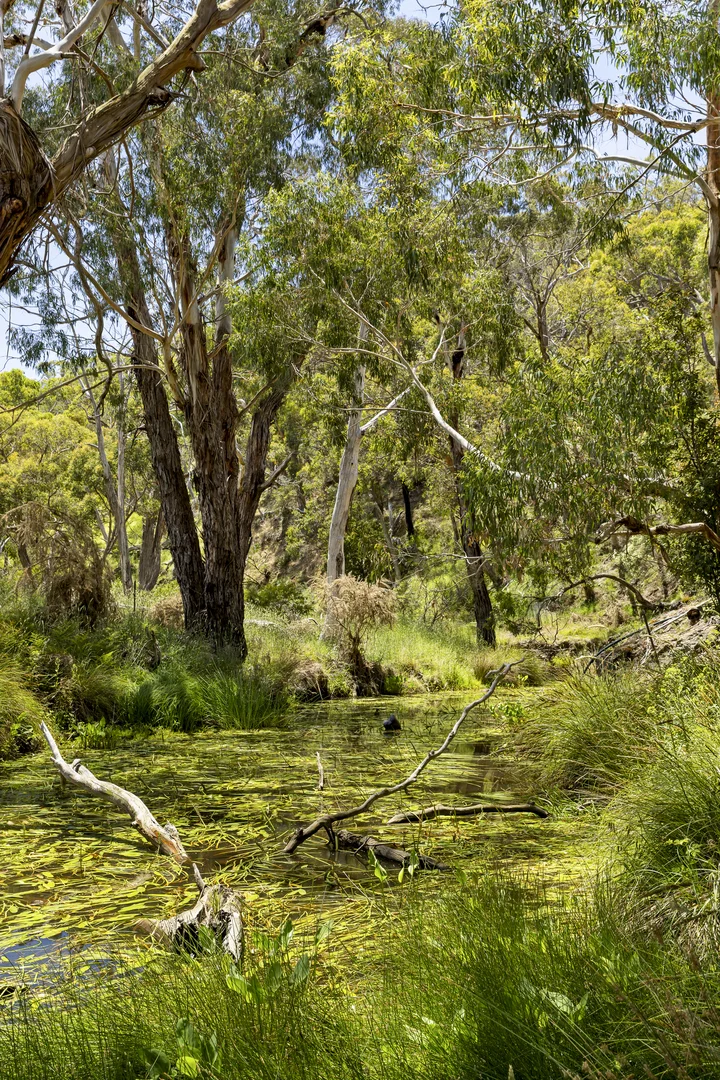 Additional image 23 of 151 Wheelwrights Road, Riddells Creek VIC 3431