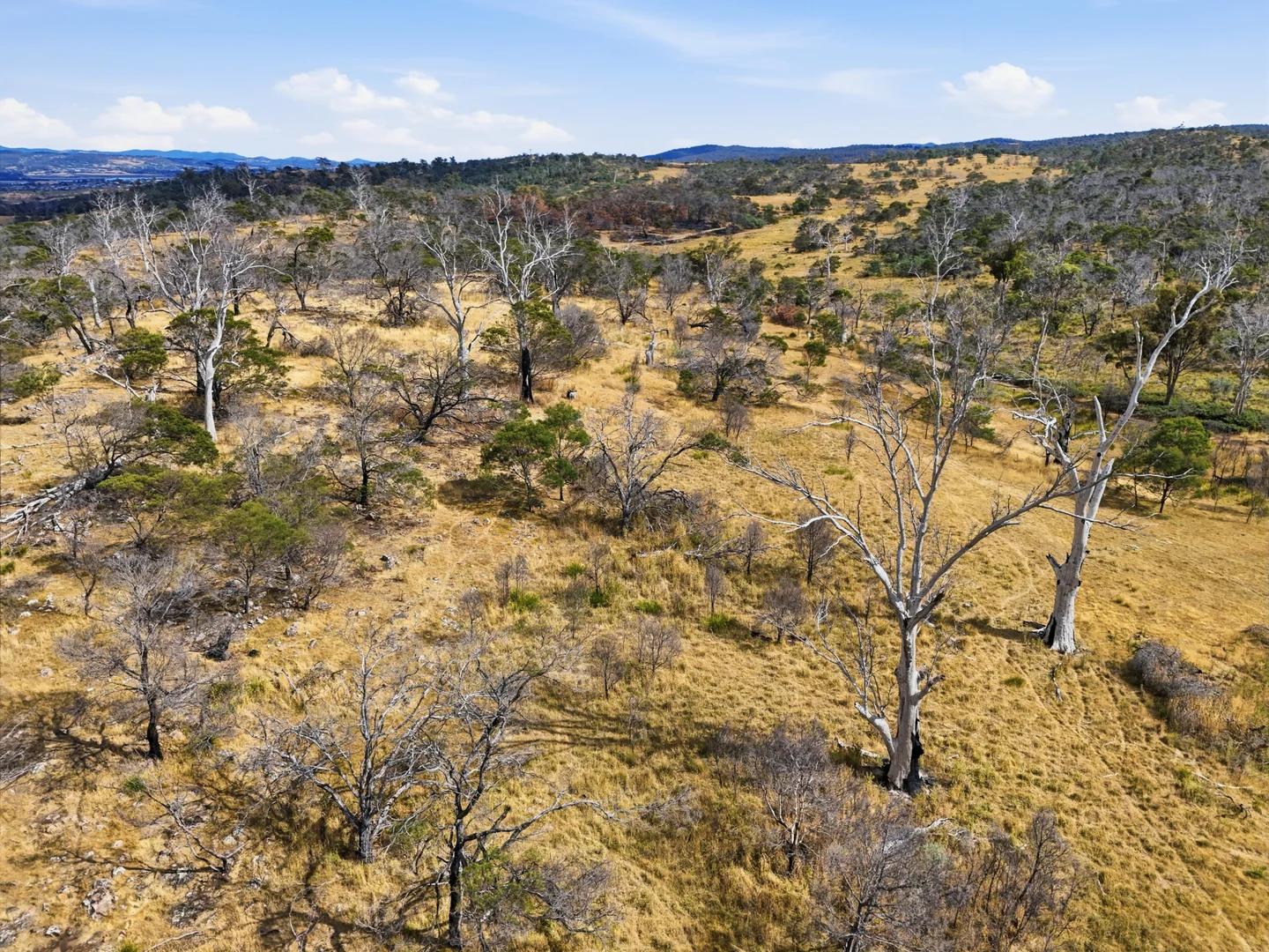 Additional image 22 of 75 Prossers Forest Road, Ravenswood TAS 7250