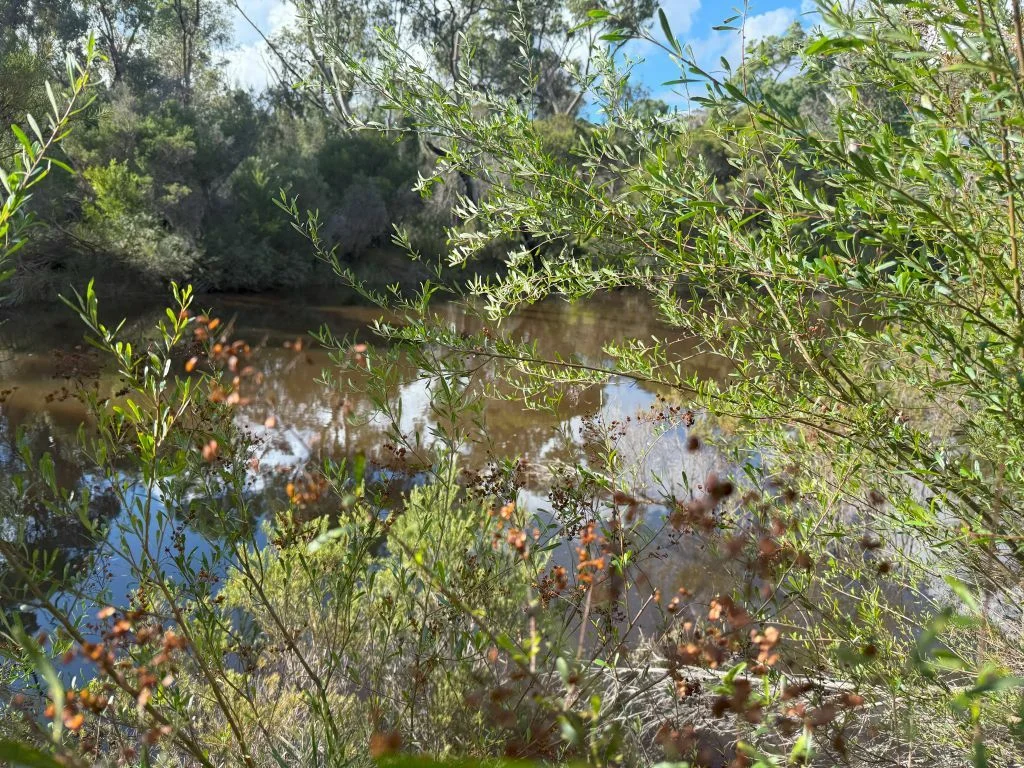 Additional image 11 of Lot/89 Fletcher Road, Ballandean QLD 4382