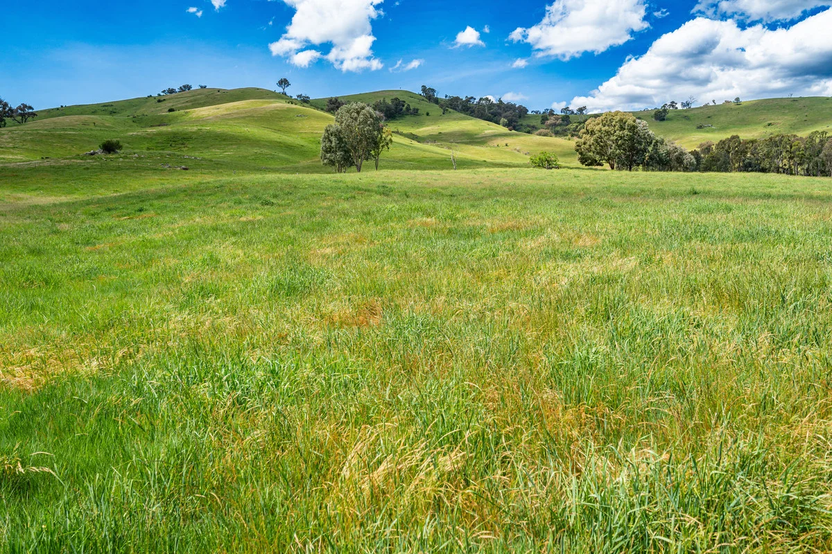 Additional image 9 of Swamp Lane, Dederang VIC 3691