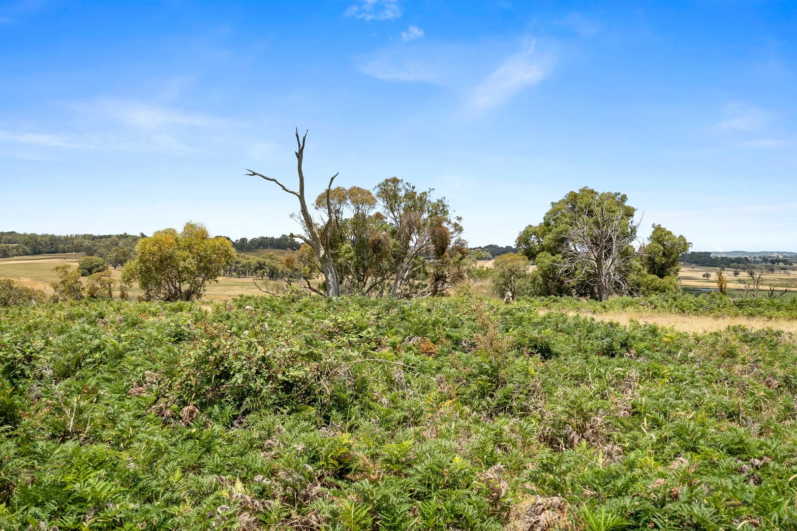 Additional image 19 of 171 Boongarra Road, Laggan via, Crookwell NSW 2583
