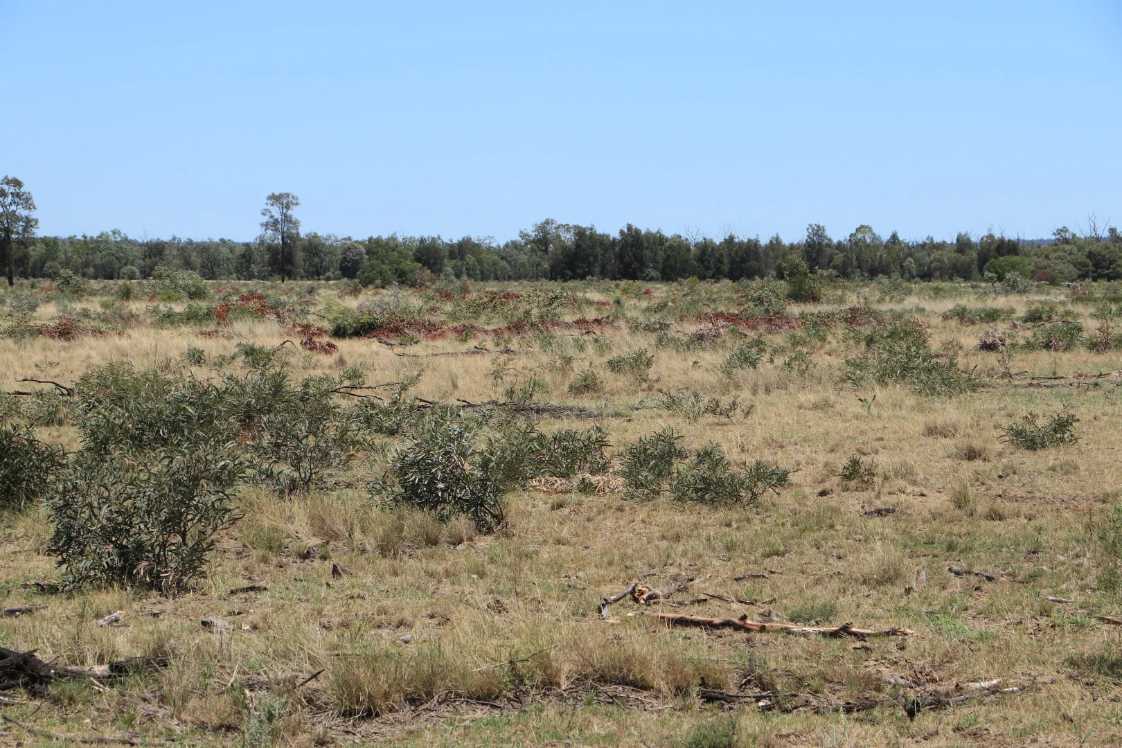 Additional image 9 of 555 Yuleba Surat Road, Yuleba QLD 4427