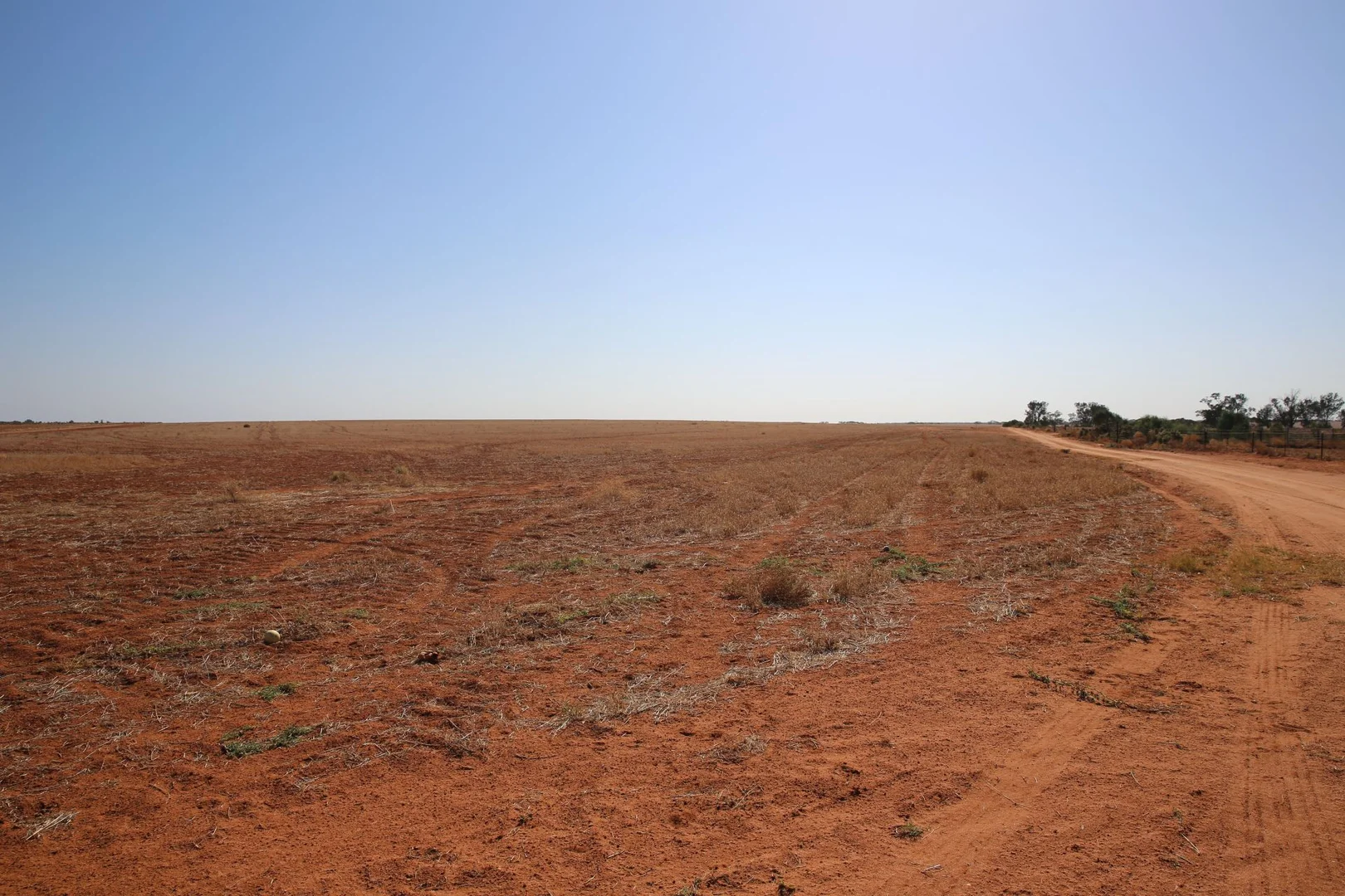 Additional image 12 of Monak NSW 2738