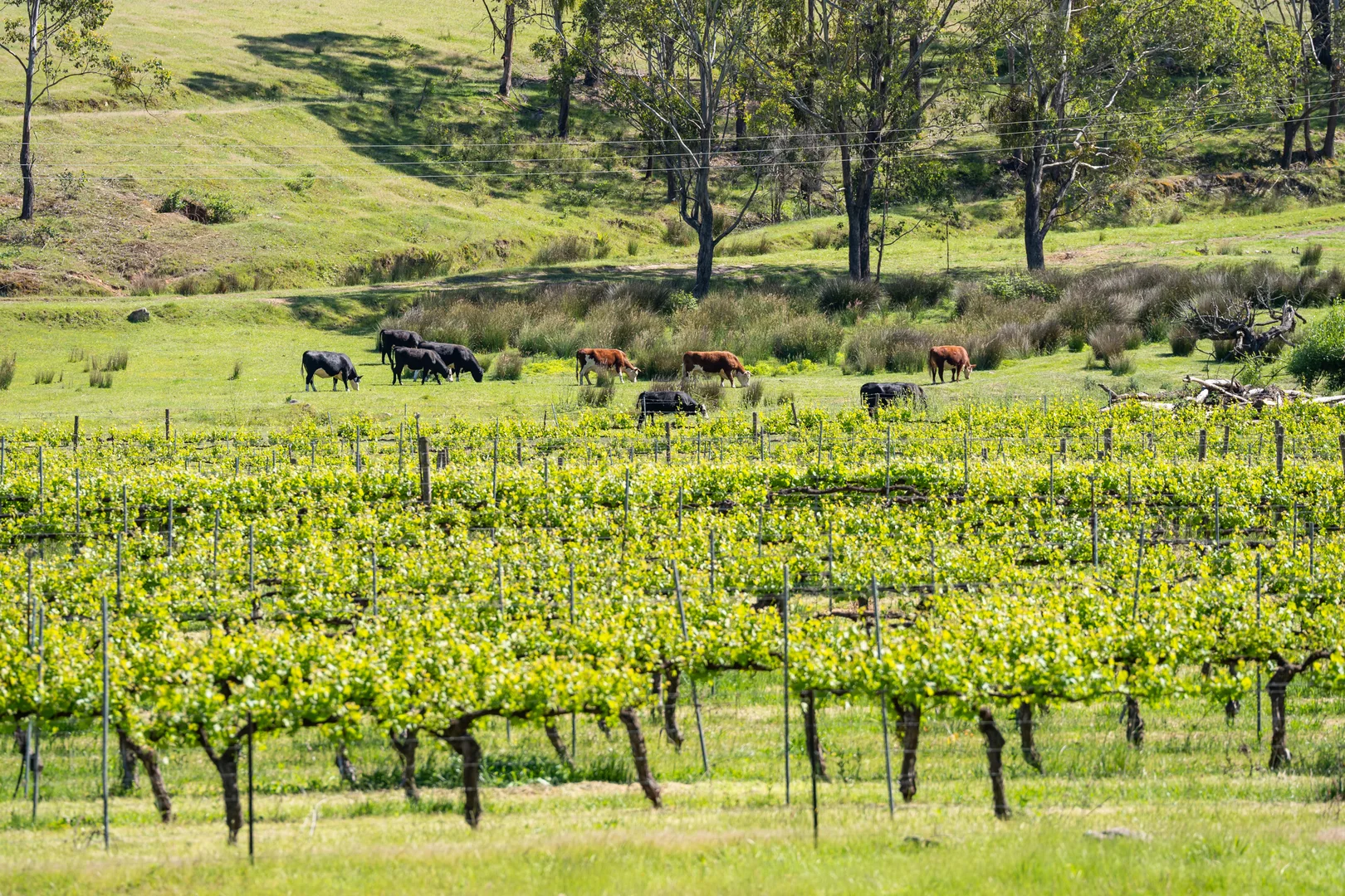 Additional image 18 of 285 Bay Creek Lane, Mongans Bridge VIC 3691