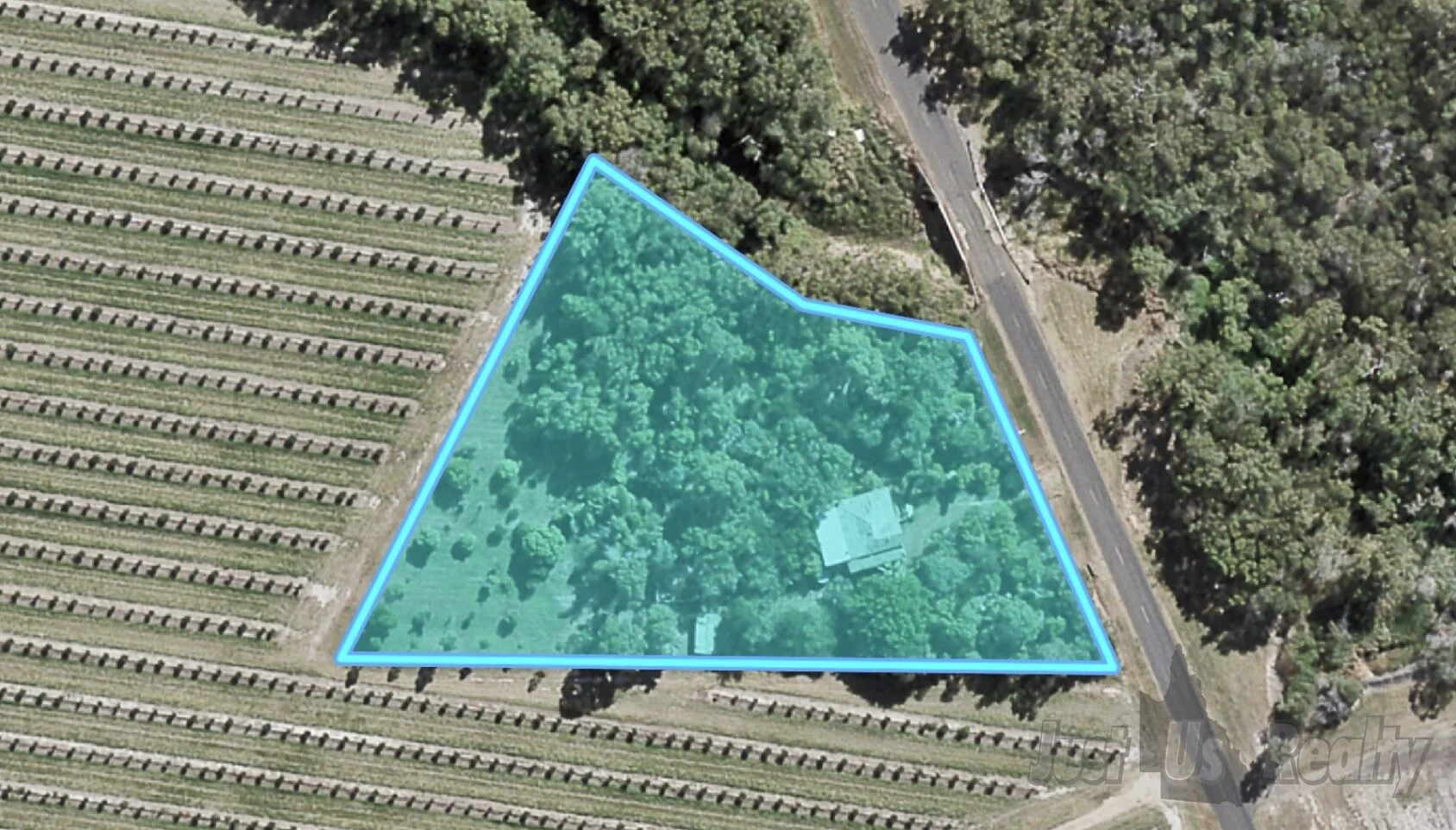 Additional image 4 of 186 Mahoney Dexters Road, Alloway QLD 4670
