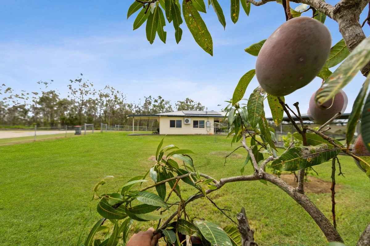 Additional image 21 of 73 Emerald Heights Road, Mareeba QLD 4880