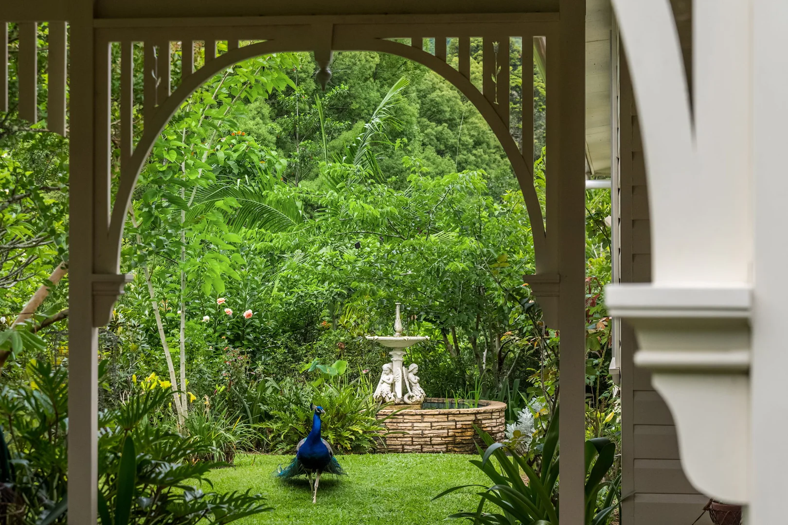 Additional image 5 of 722 Main Arm Road, Main Arm NSW 2482