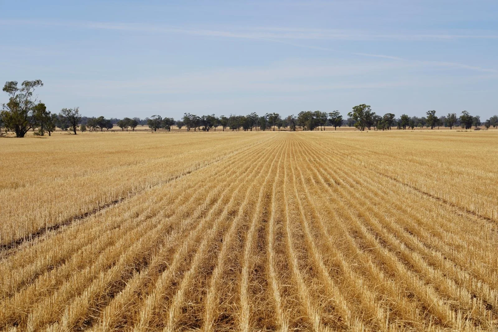 Additional image 8 of Part Woodville Blackstock Hill Road, Peak Hill NSW 2869