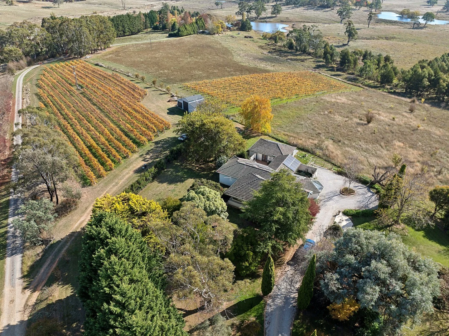 432 Cargo Road, Orange NSW 2800