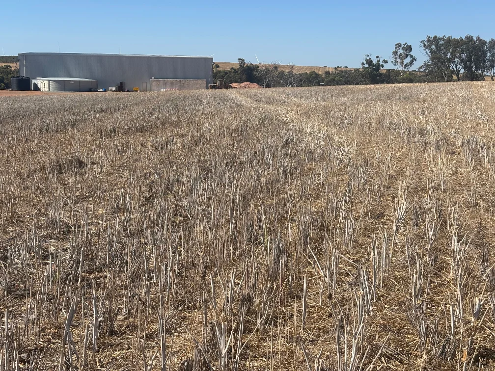 Additional image 2 of 6062 Coorow-Greenhead Road, Warradarge WA 6518