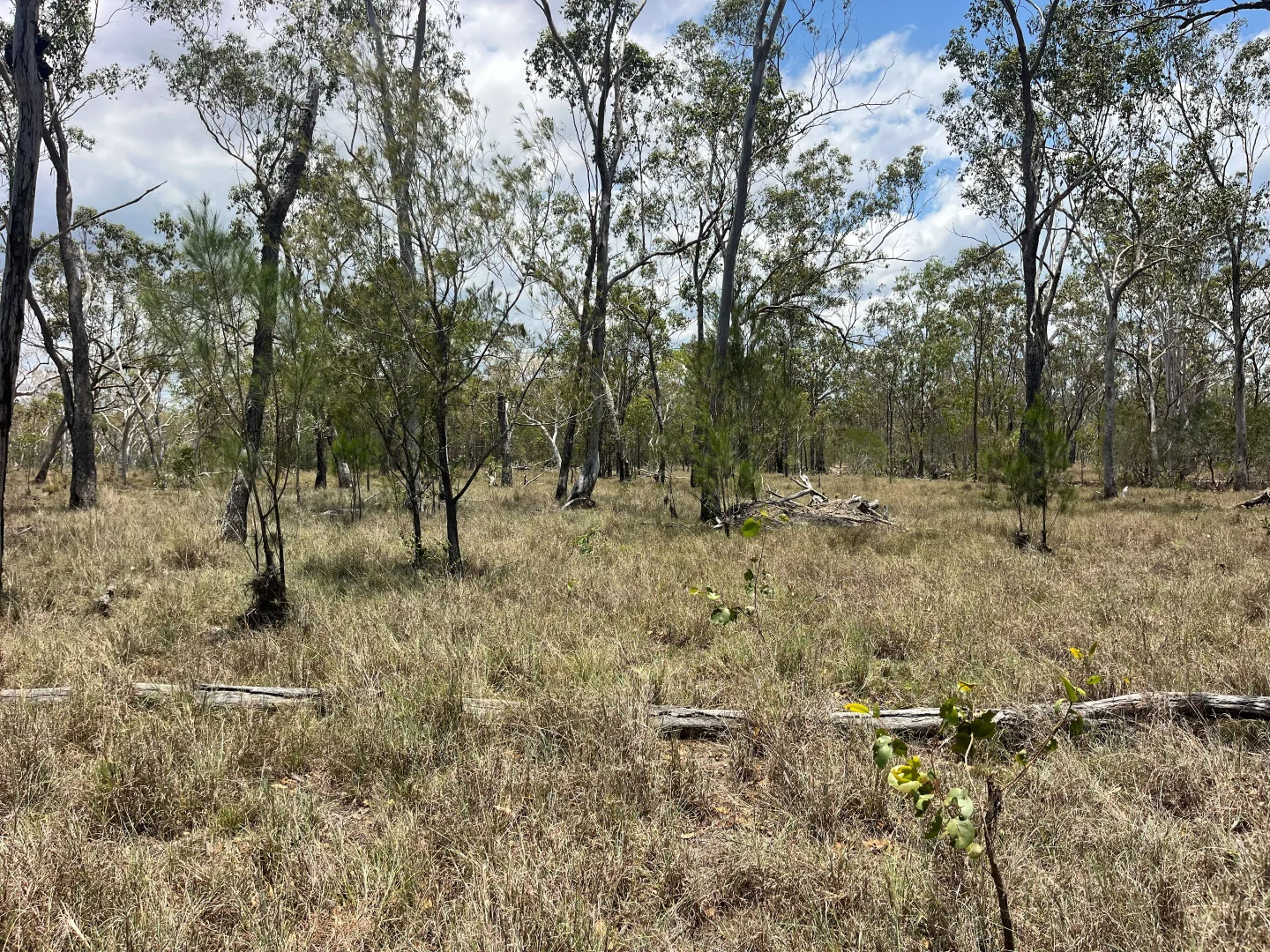 Additional image 52 of Blunder Park Station 382 Blunder Park Road, Ravenshoe QLD 4888
