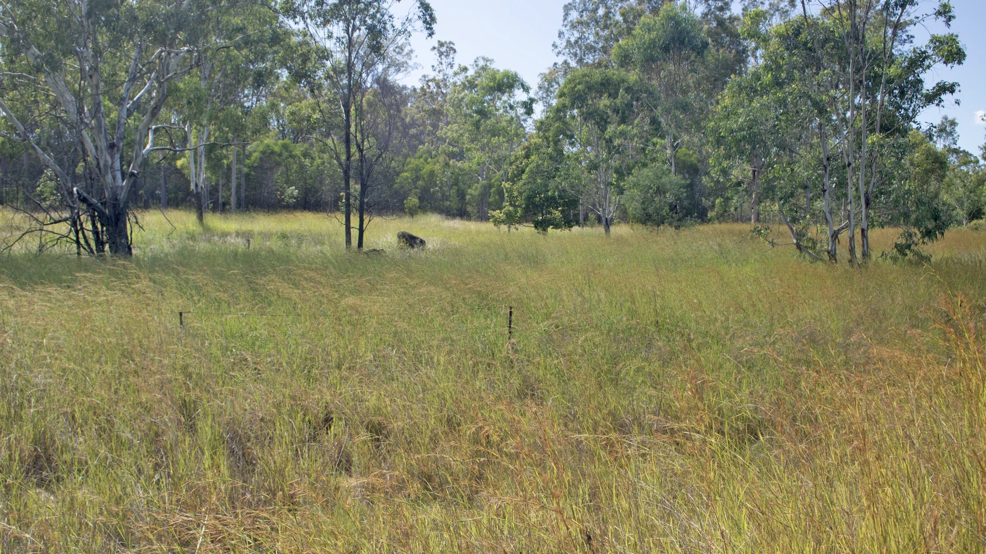 Additional image 2 of Lot 881 Burnett Highway, Eidsvold QLD 4627