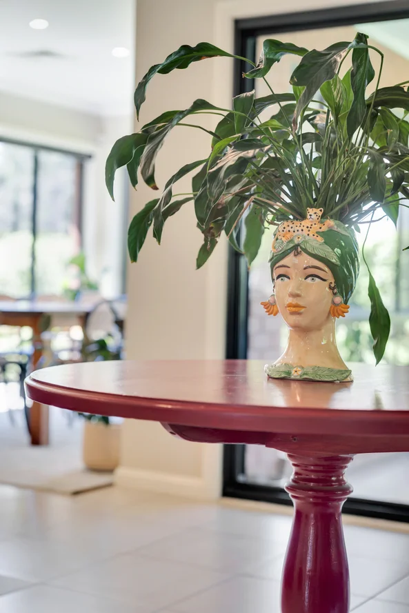 Additional image 17 of 2 Alisma Road, Mount Annan NSW 2567