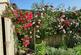 Additional image 11 of Humberston Fitties, Humberston, Grimsby, N.E. Lincs, DN36 4HE