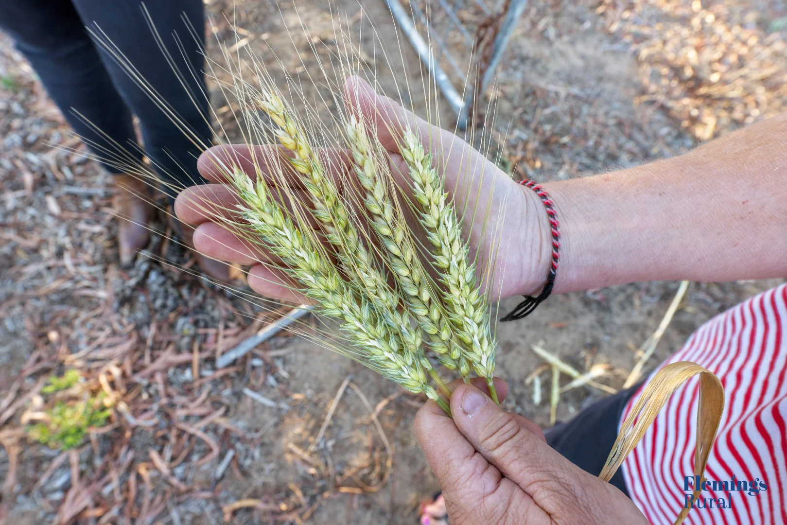 Additional image 6 of 170 Kanoona Road, Harden NSW 2587