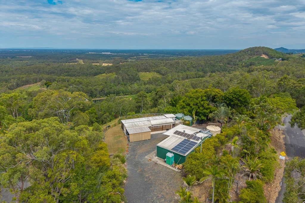 Additional image 12 of 349 Jackson Road, Wamuran QLD 4512