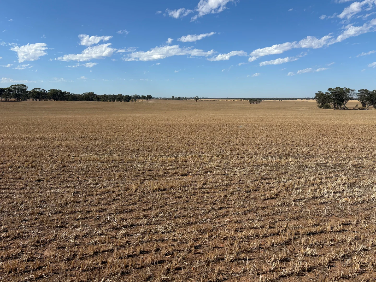 Additional image 11 of 00 Cnr Collins Road & Marktree Rd, Corop VIC 3559