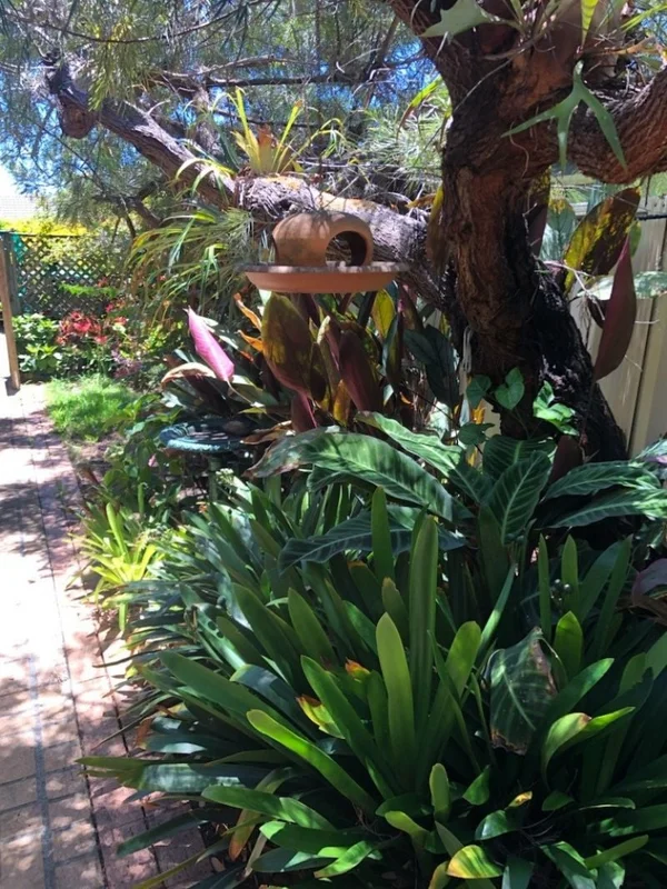 Additional image 14 of 6a Anderson Place, Salamander Bay NSW 2317