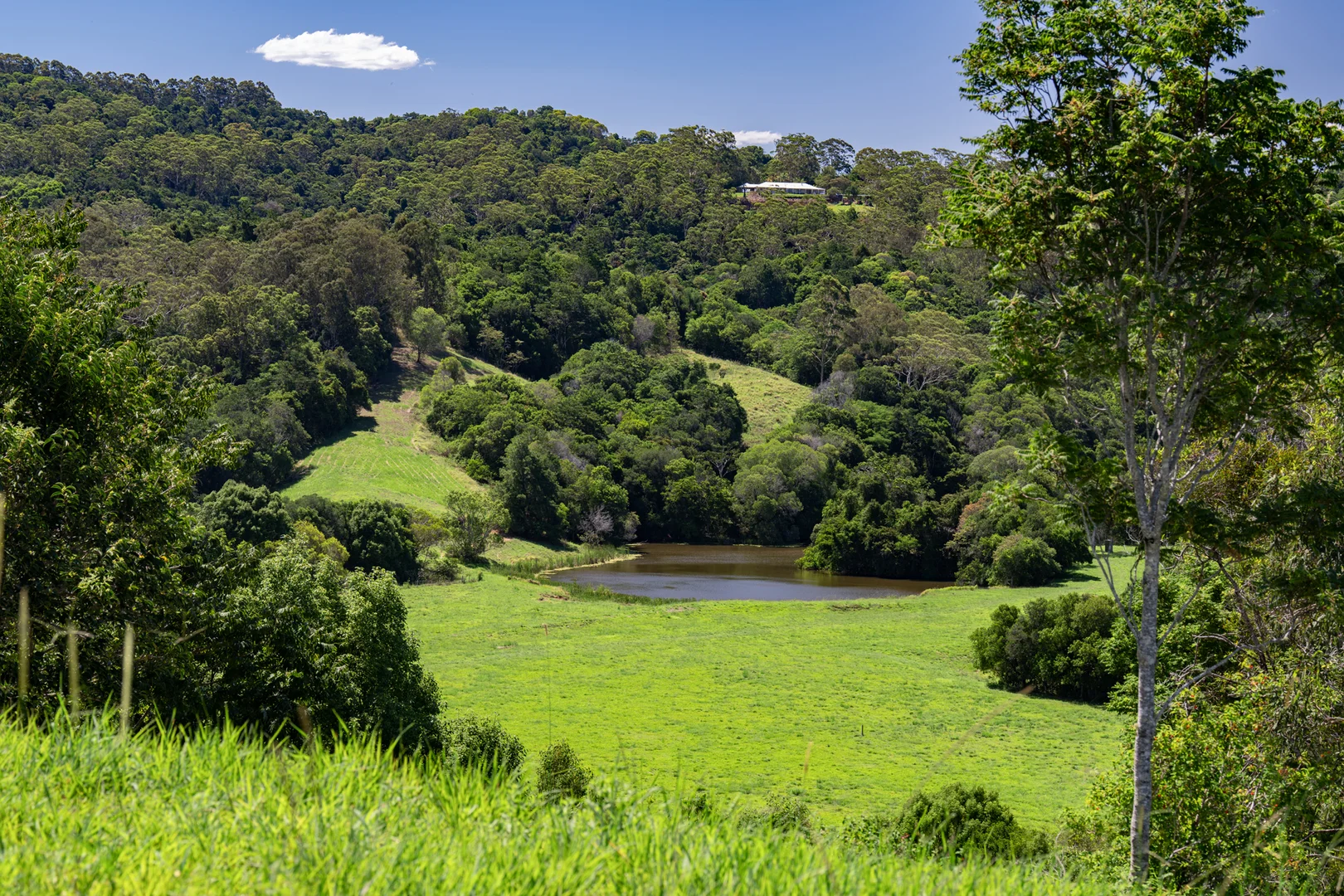 Additional image 17 of 165 Larneys Lane, Eerwah Vale QLD 4562