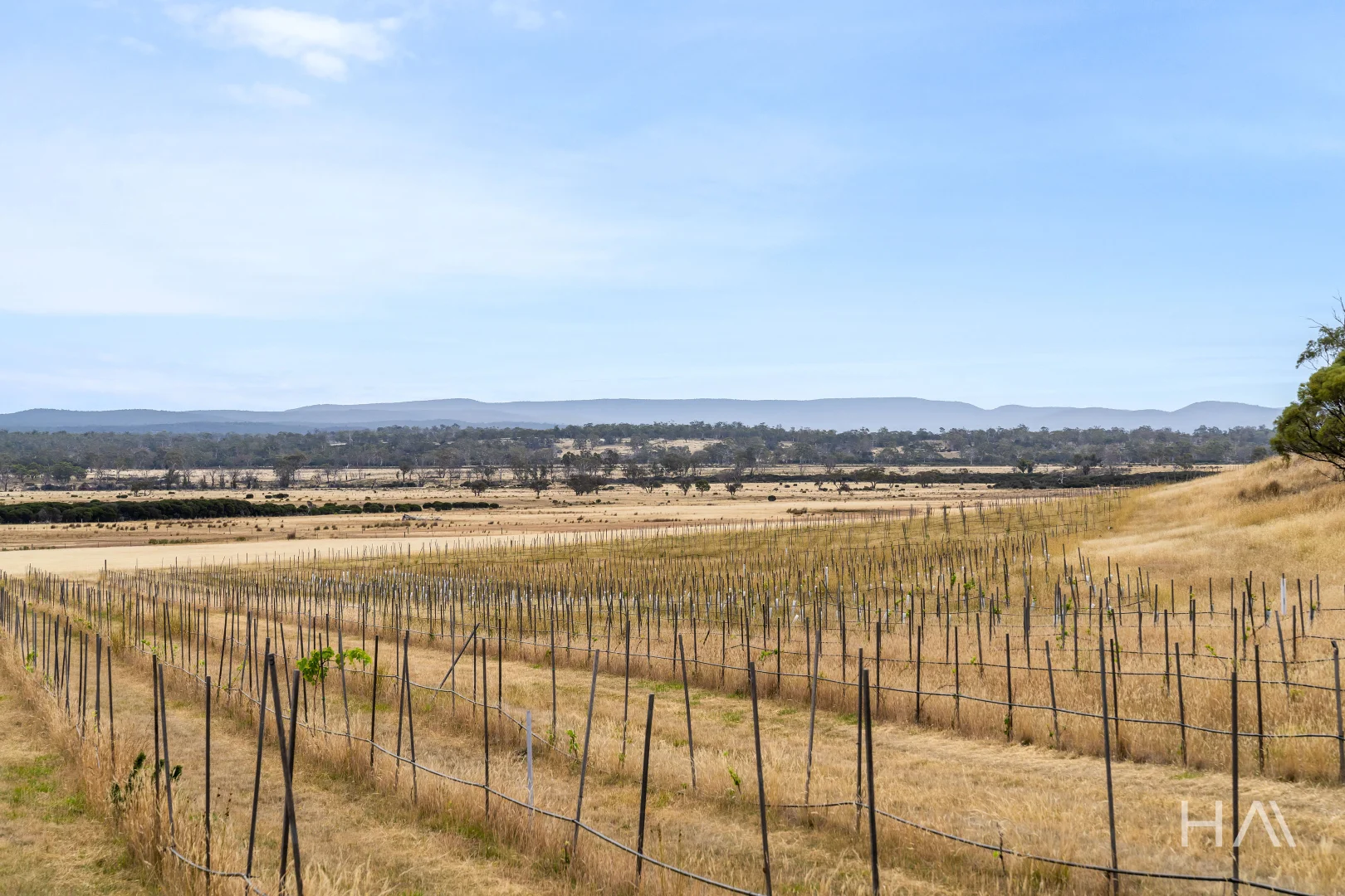 Additional image 11 of Lot 50 Springs Road, Swansea TAS 7190