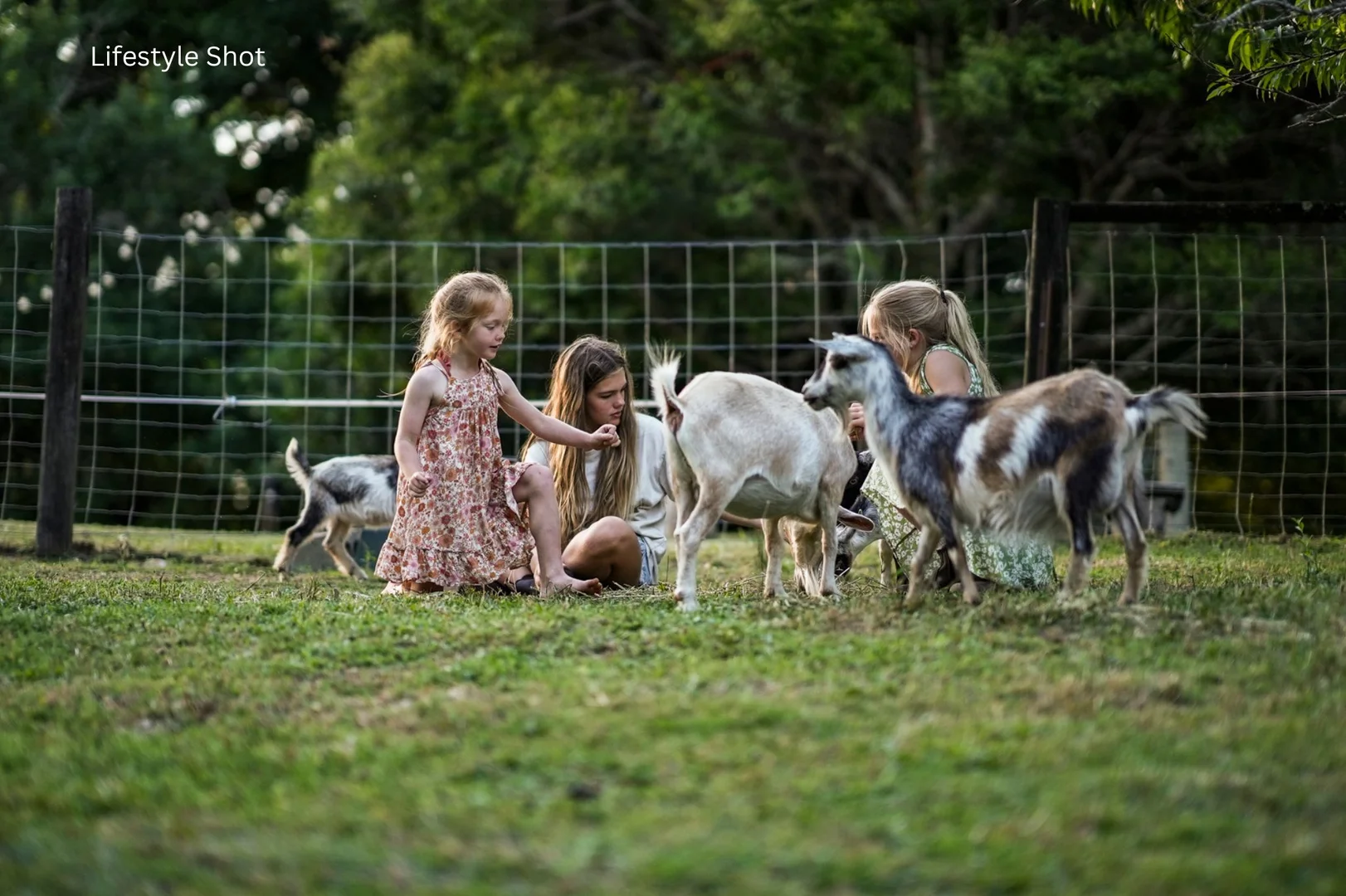 Additional image 26 of 425A Upper Orara Road, Upper Orara NSW 2450