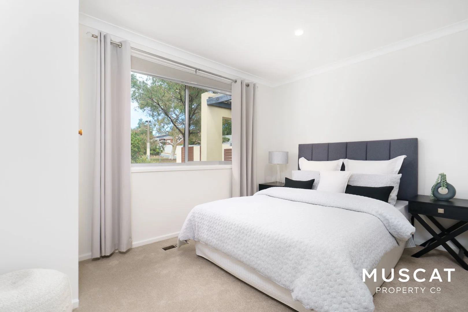 Additional image 13 of 12A Colbeck Street, Mawson ACT 2607