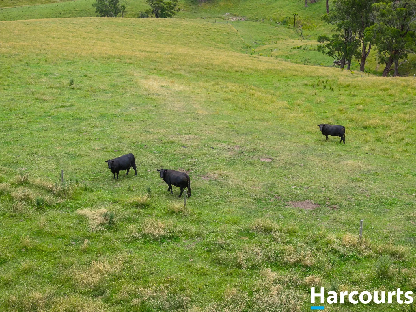 Additional image 26 of 570 Woorarra Road, Welshpool VIC 3966