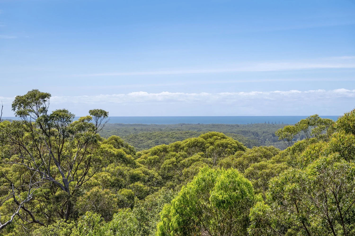 Additional image 29 of 38 Hoschke Road, West Haven NSW 2443