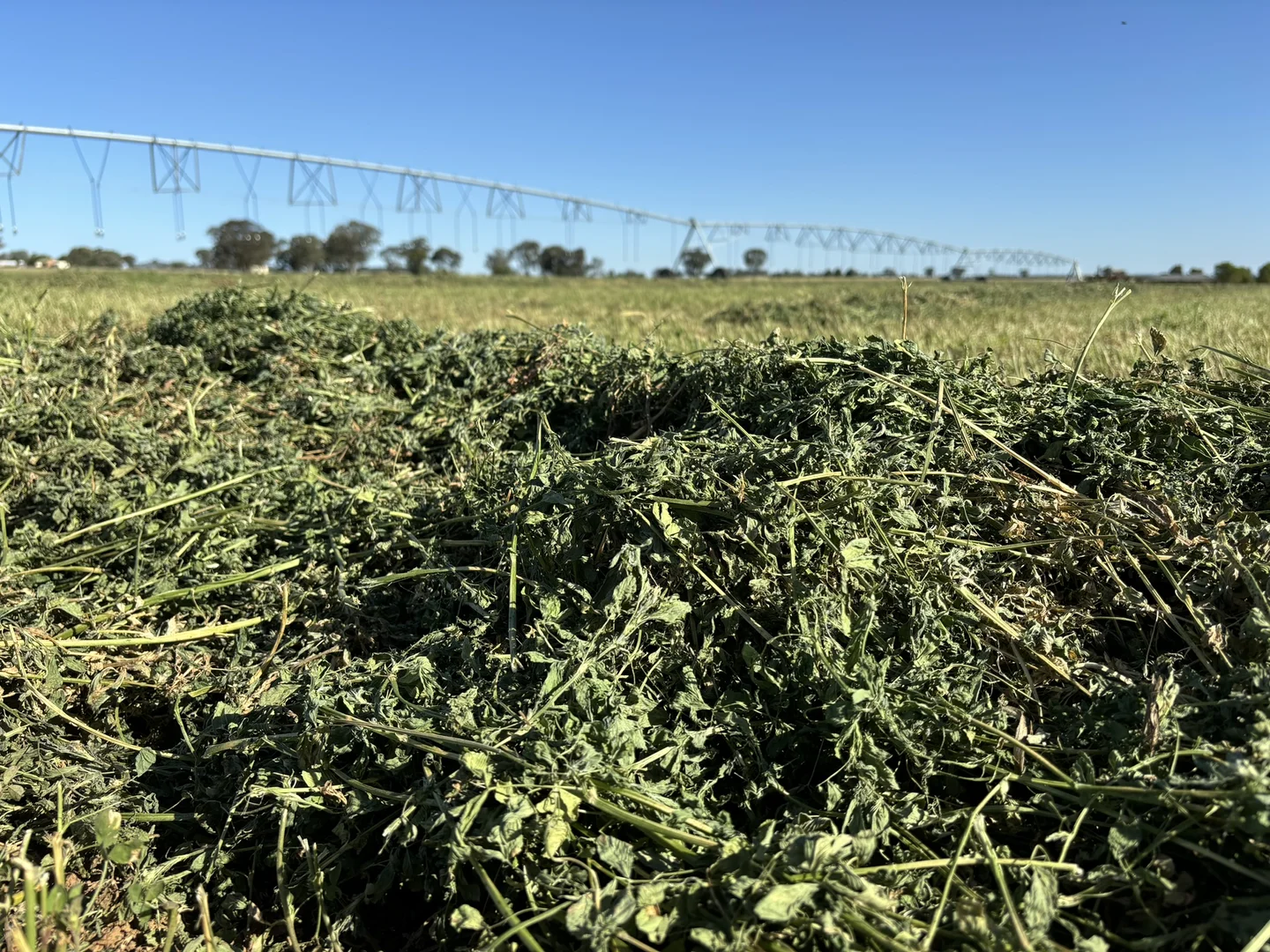 Additional image 11 of North Logan Road, Cowra NSW 2794