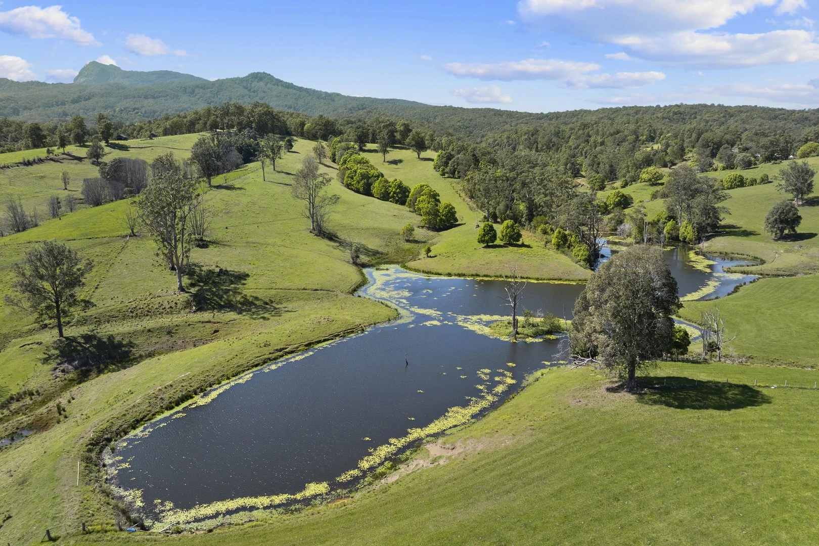703 Brays Creek Road, Brays Creek NSW 2484