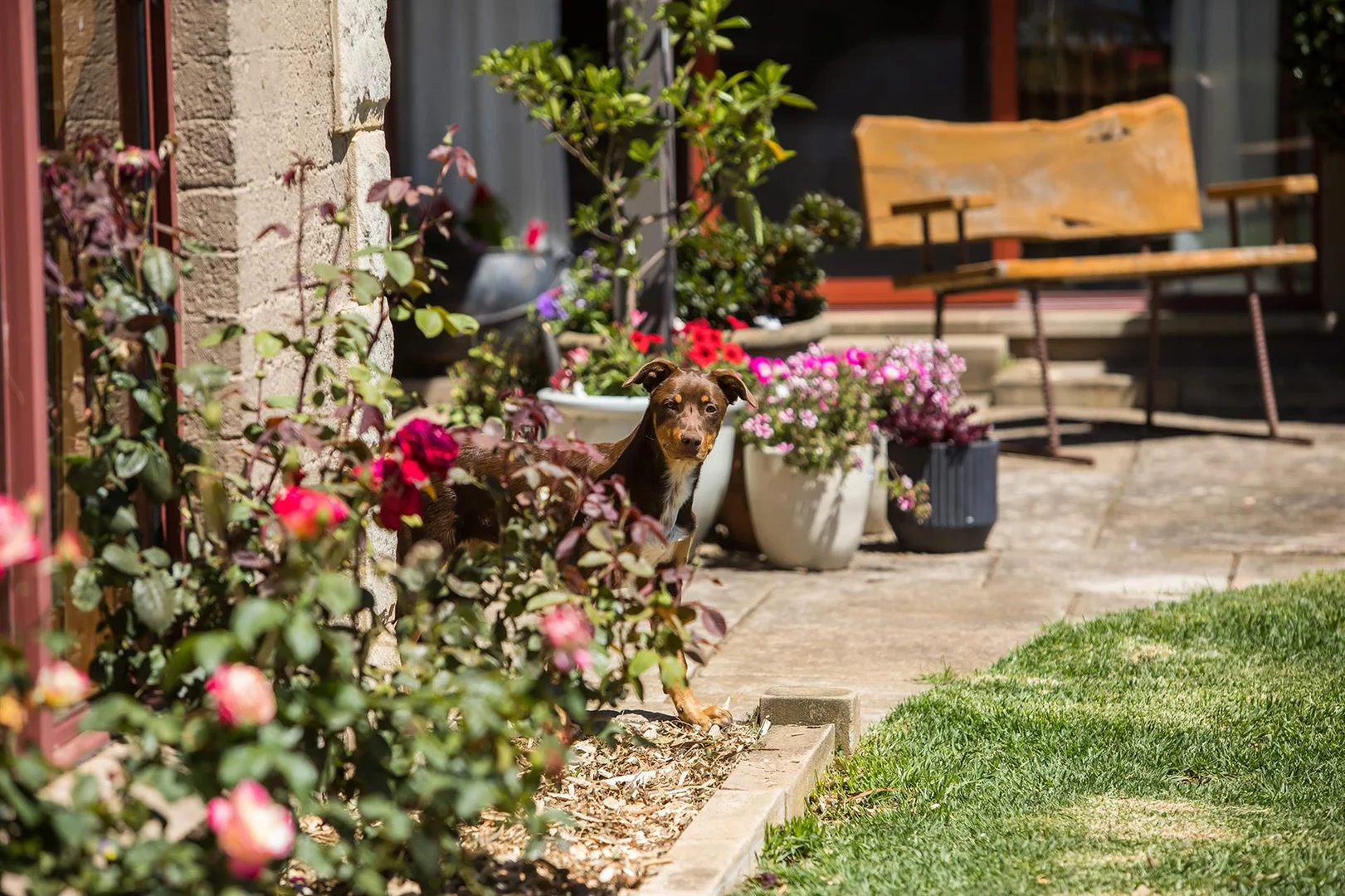 Additional image 20 of 80 Burnhams Lane, Exeter NSW 2579