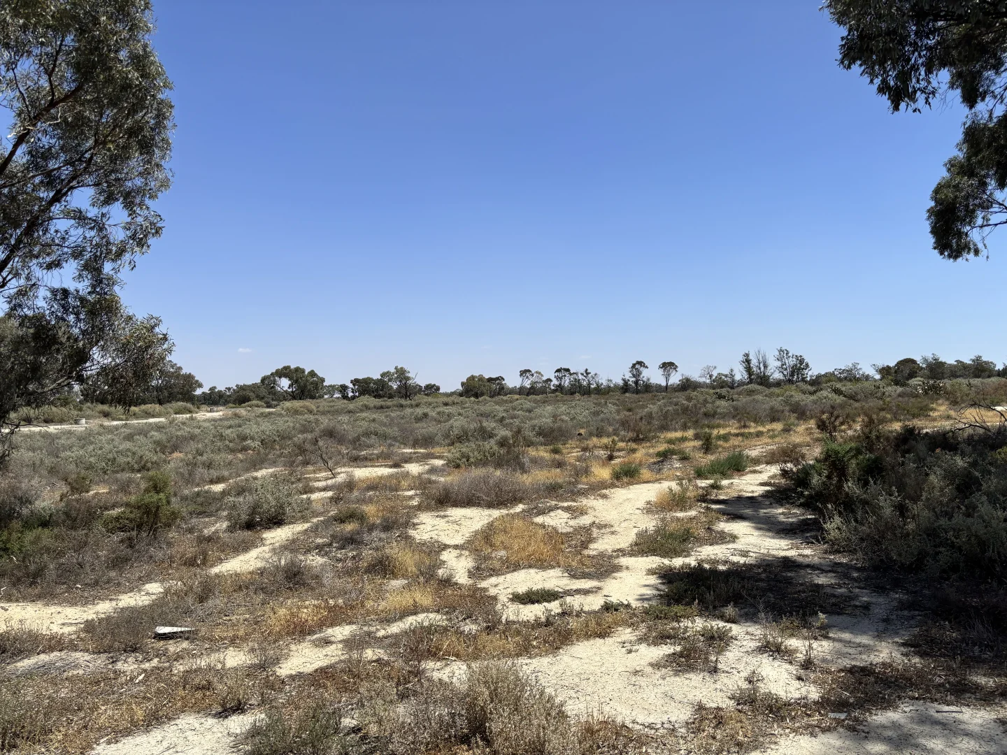 Additional image 6 of 104 Syndicate Road, Curlwaa NSW 2648