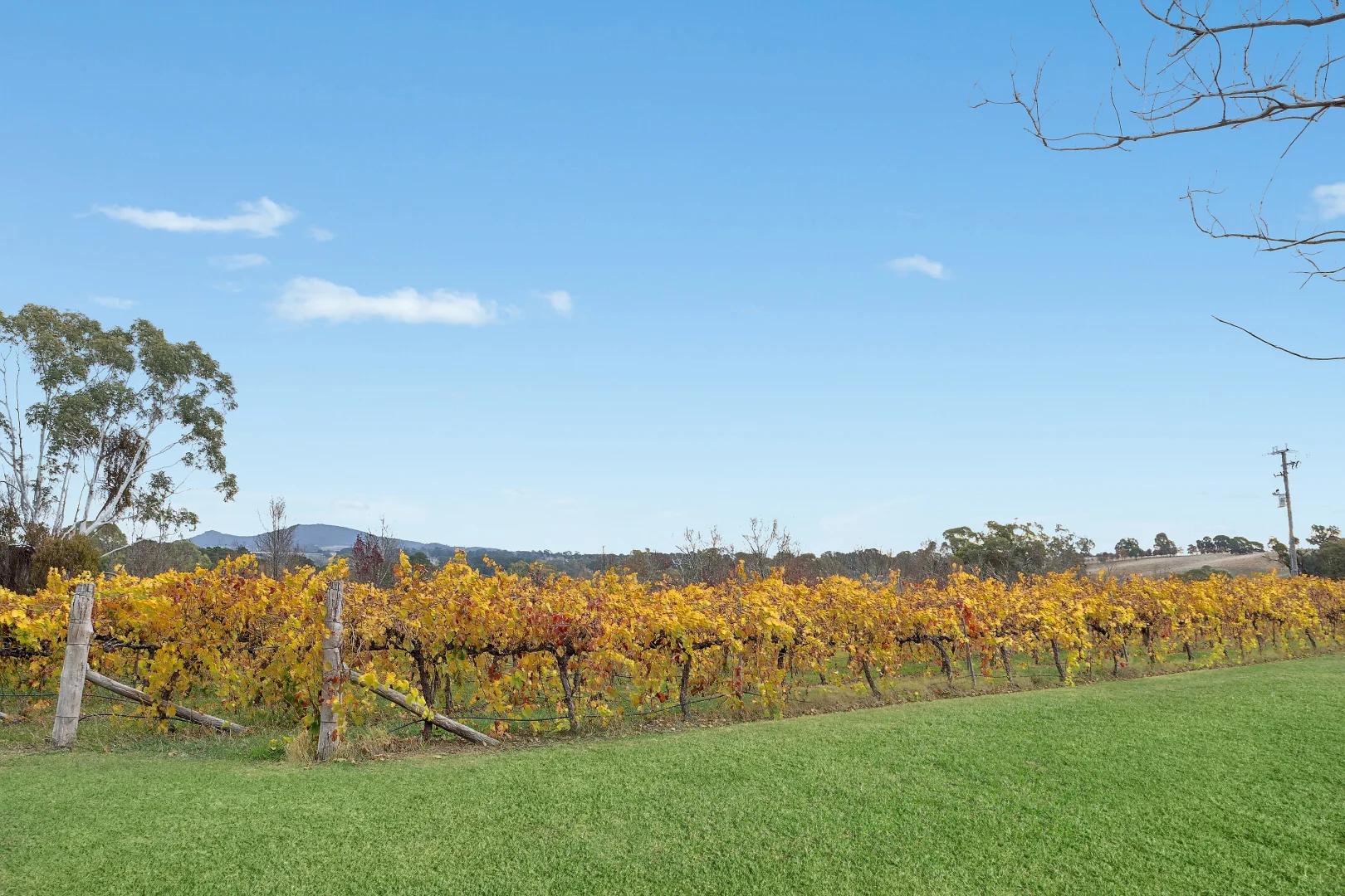 Additional image 27 of 432 Cargo Road, Orange NSW 2800