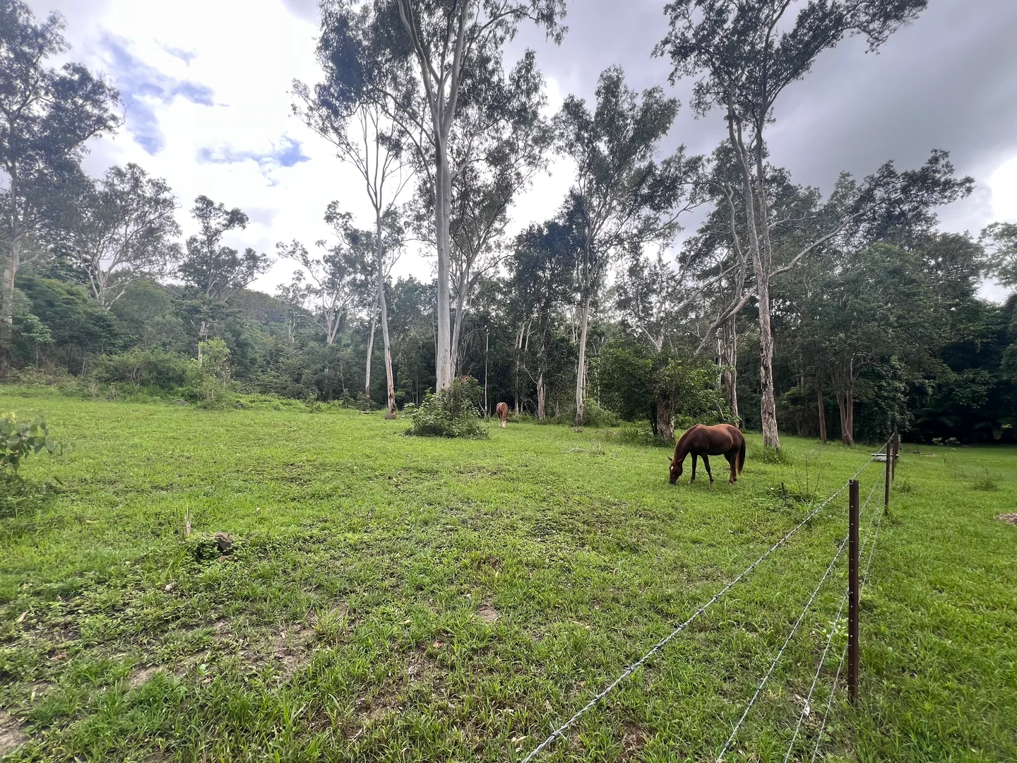 Additional image 32 of 297 Smith Cross Road, Devereux Creek QLD 4753