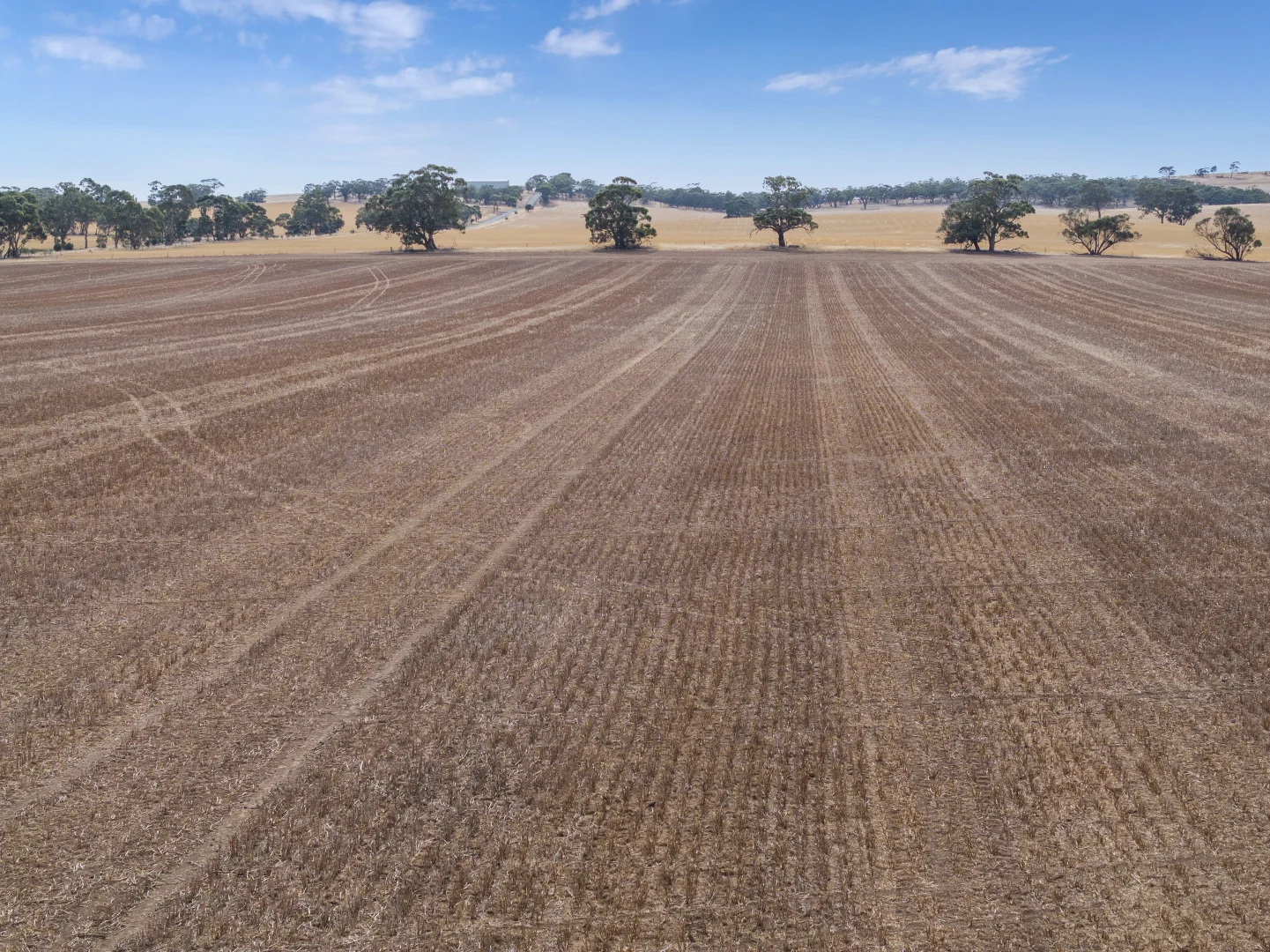 Additional image 2 of 'Murrays' Orana Road, Marrabel SA 5413