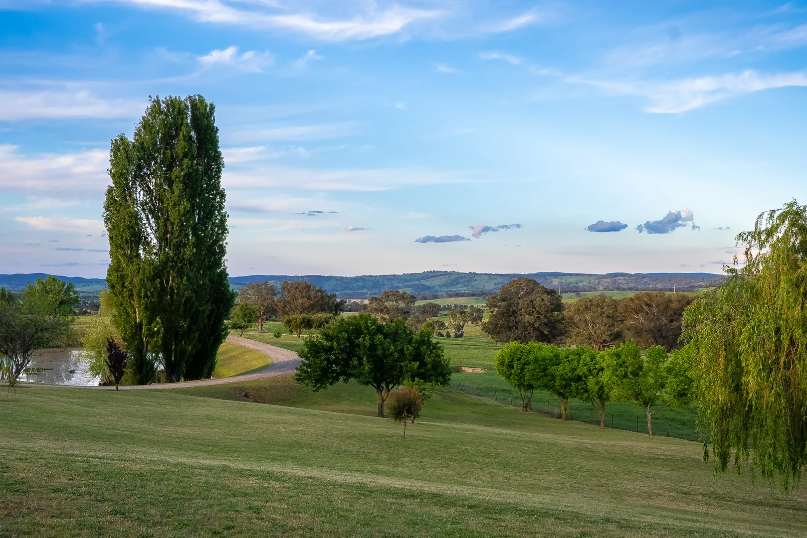 Additional image 17 of 141 Horspool Way, Orange NSW 2800