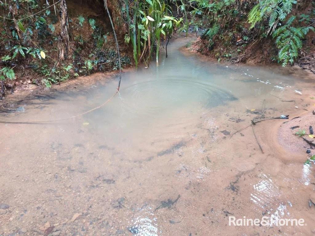 Additional image 11 of Lot 11 Milky Pine Road, Kimberley, Daintree QLD 4873