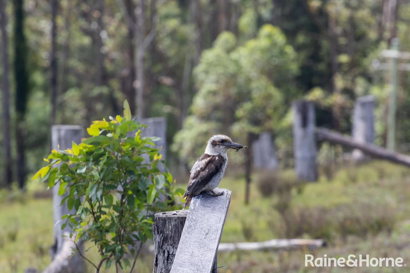 Additional image 12 of 225 Woodburn Road, Morton NSW 2538
