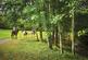Additional image 21 of Finlake Holiday Resort & Spa, Newton Abbot TQ13