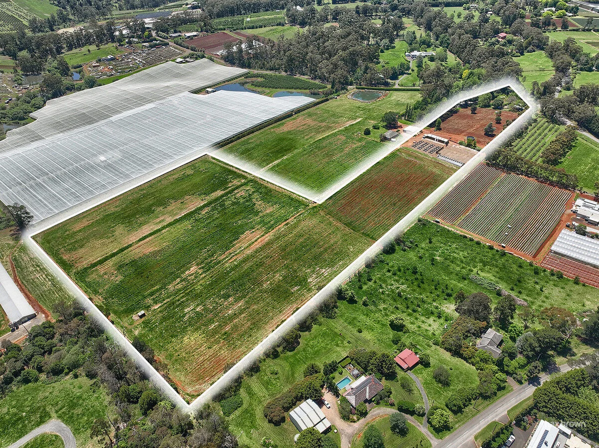 Additional image 37 of 250 Wandin Creek Road, Wandin East VIC 3139