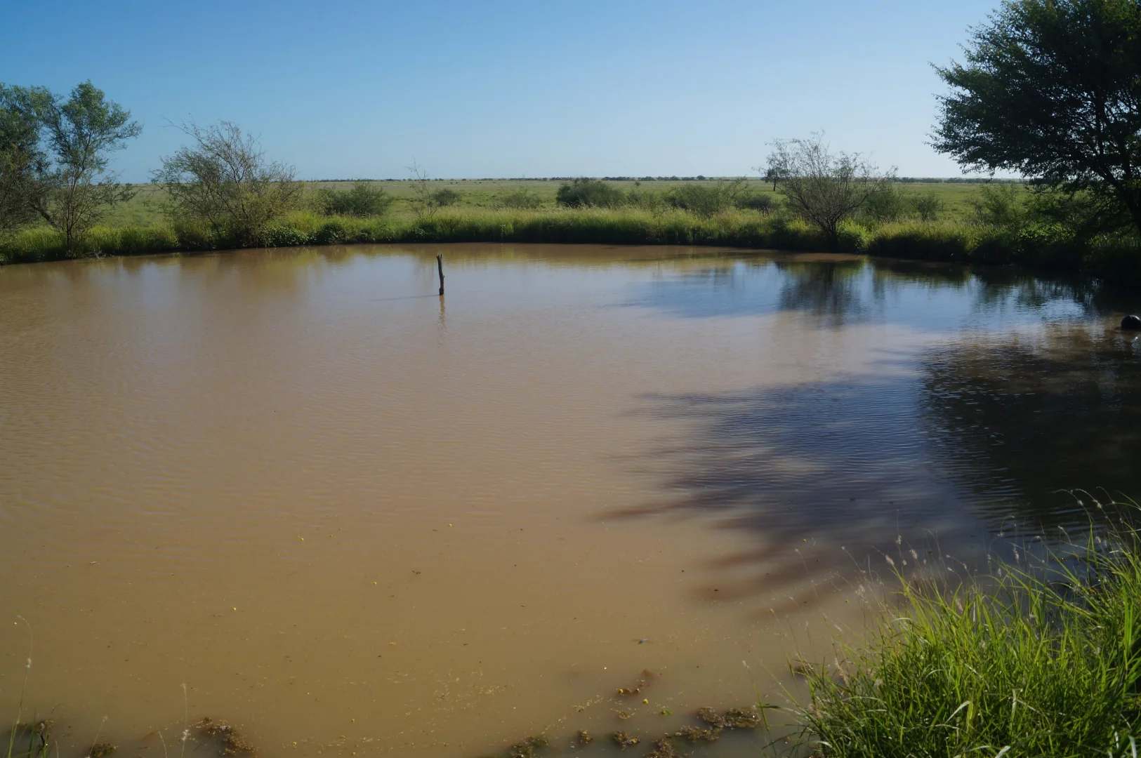 Additional image 20 of 1 Baratria Road, Longreach QLD 4730
