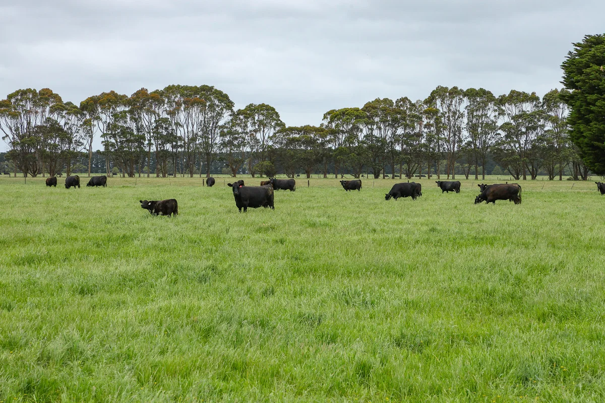 Additional image 26 of 'Laguna' 495 Camerons Road, Woolsthorpe VIC 3276